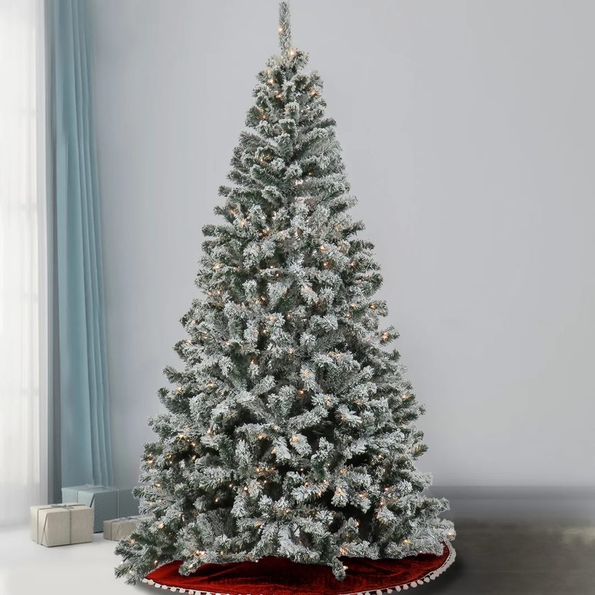 Trees | National Tree Company 75 Feet Pre-lit Artificial Frosted Bonnyville Spruce Hinged Tree 700 Clear Lights- UL F2L4F90
